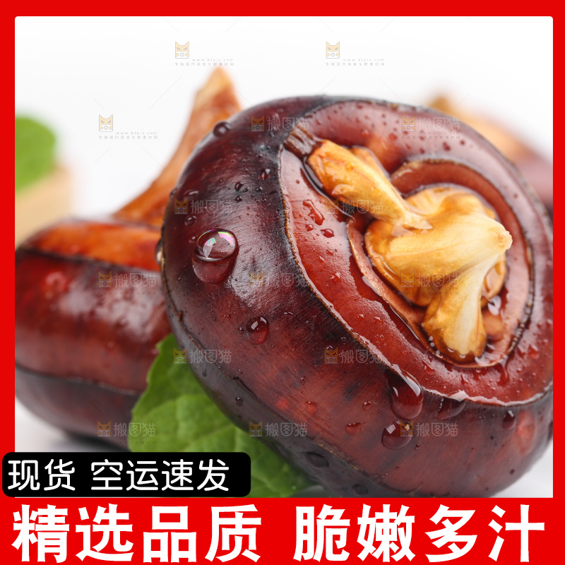 浅底上的马蹄果