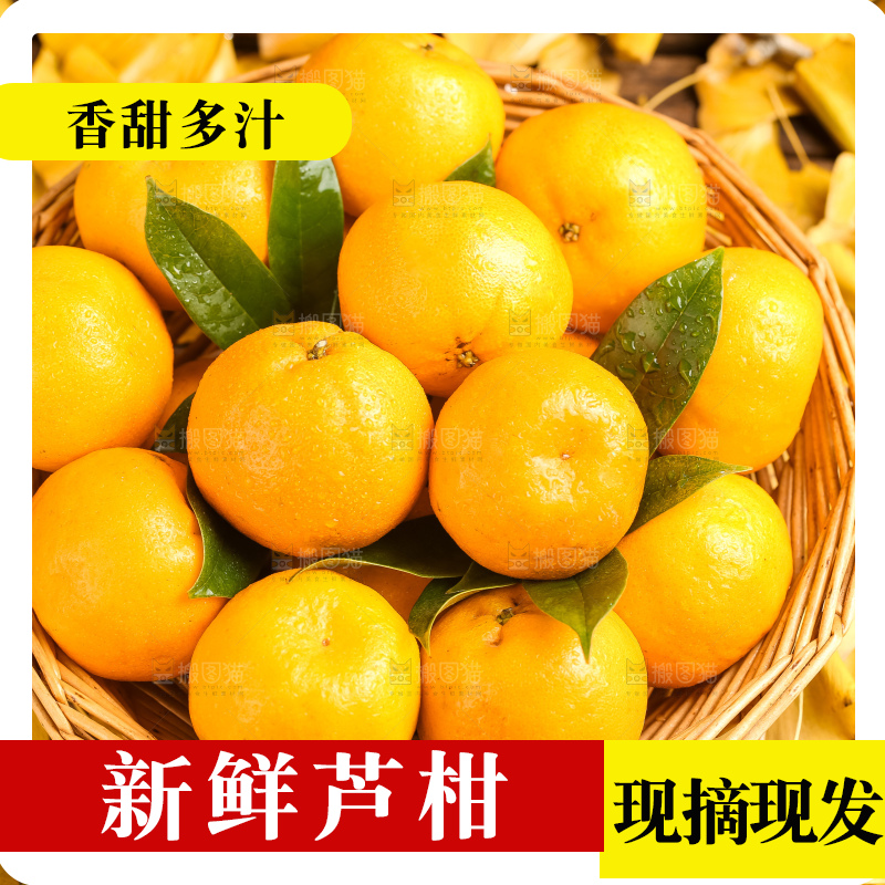 篮子里装着一篮椪柑