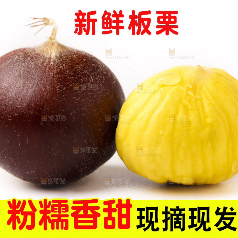 白底上的新鲜板栗