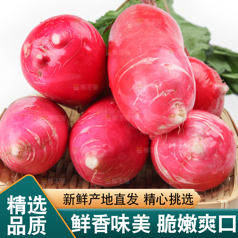 白底上的红萝卜