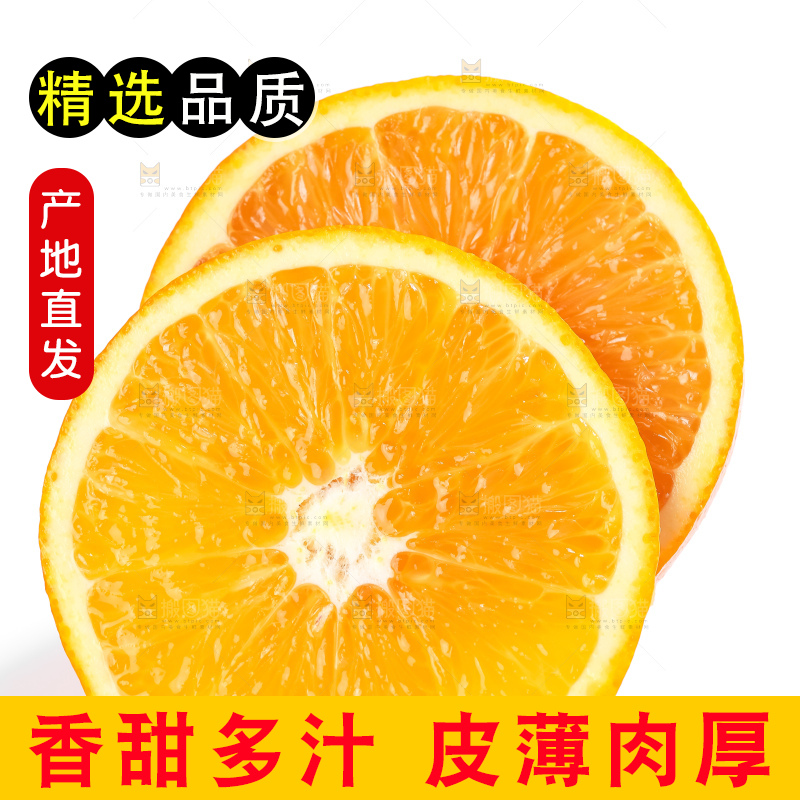 白底上的高山甜橙