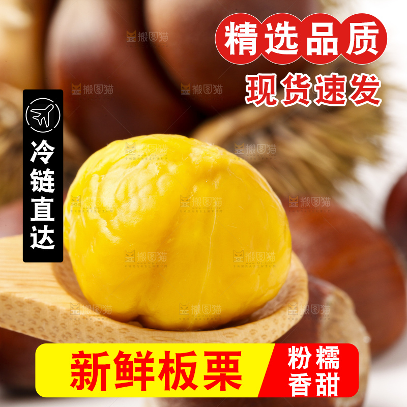 浅底上的迁西板栗
