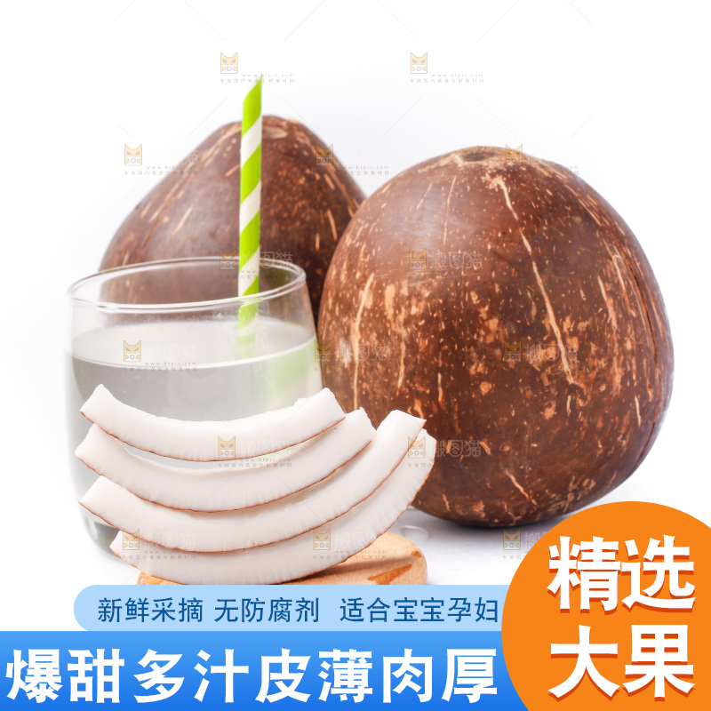 白底上放着老椰子