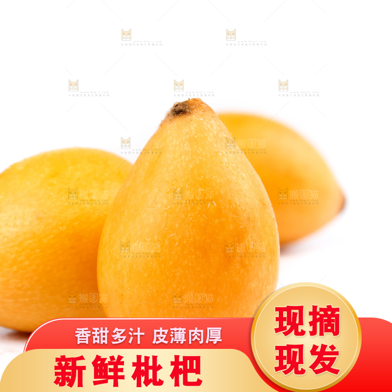 白底上放着攀枝花米易枇杷