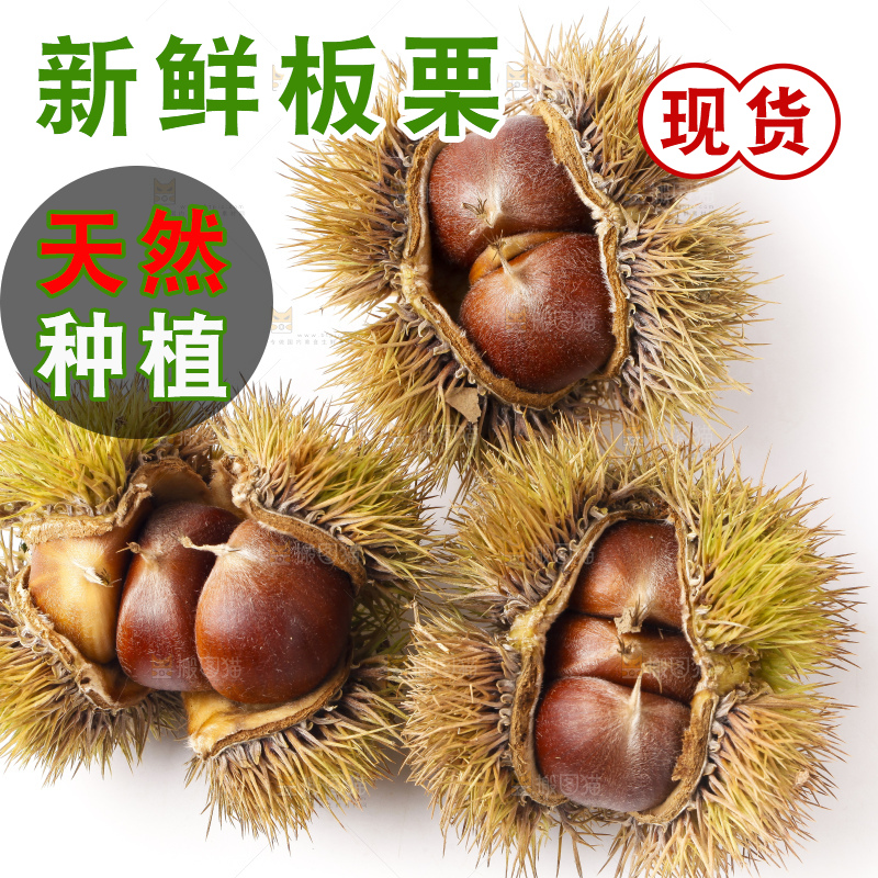 白底上放着迁西板栗