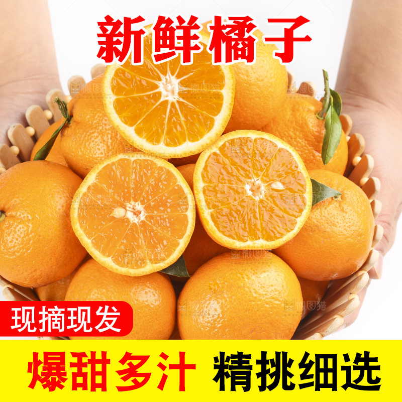 篮子里装着丑橘