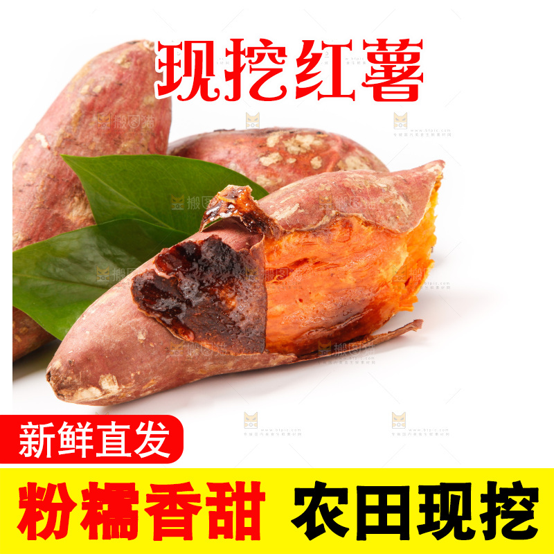 白底上的烤红薯