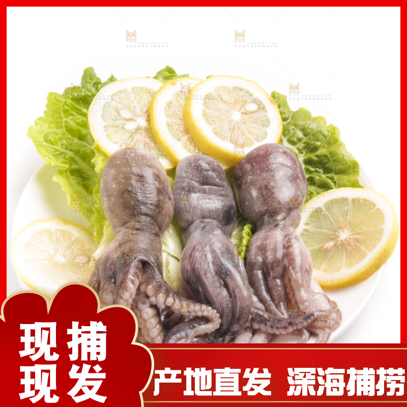 盘子里的大连章鱼