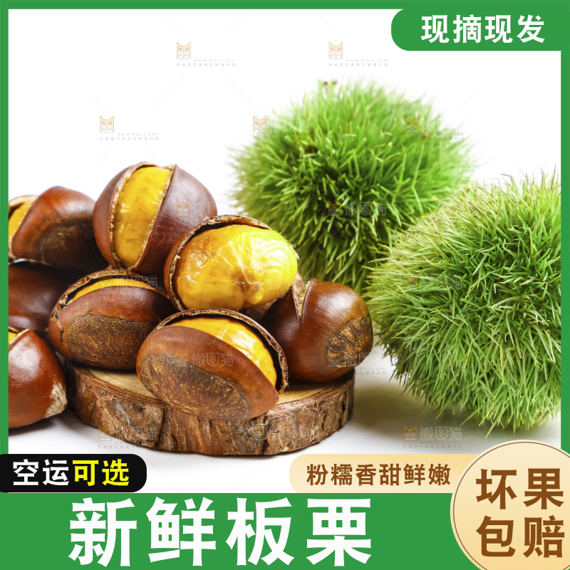 白底上的熟板栗