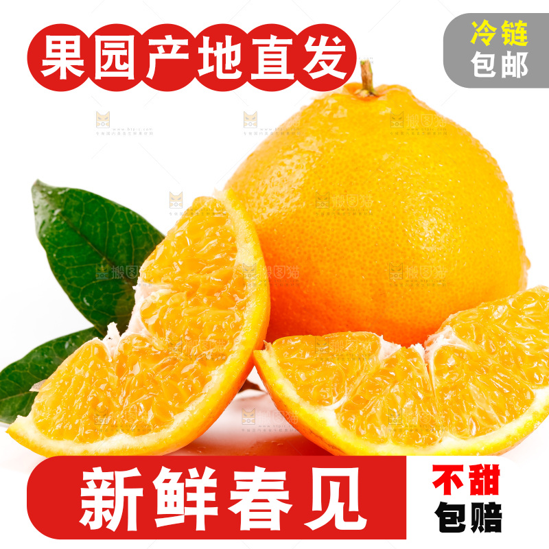白底上放着耙耙柑