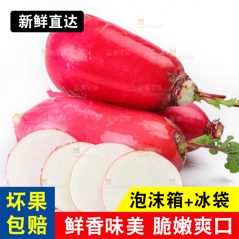 白底上的红萝卜
