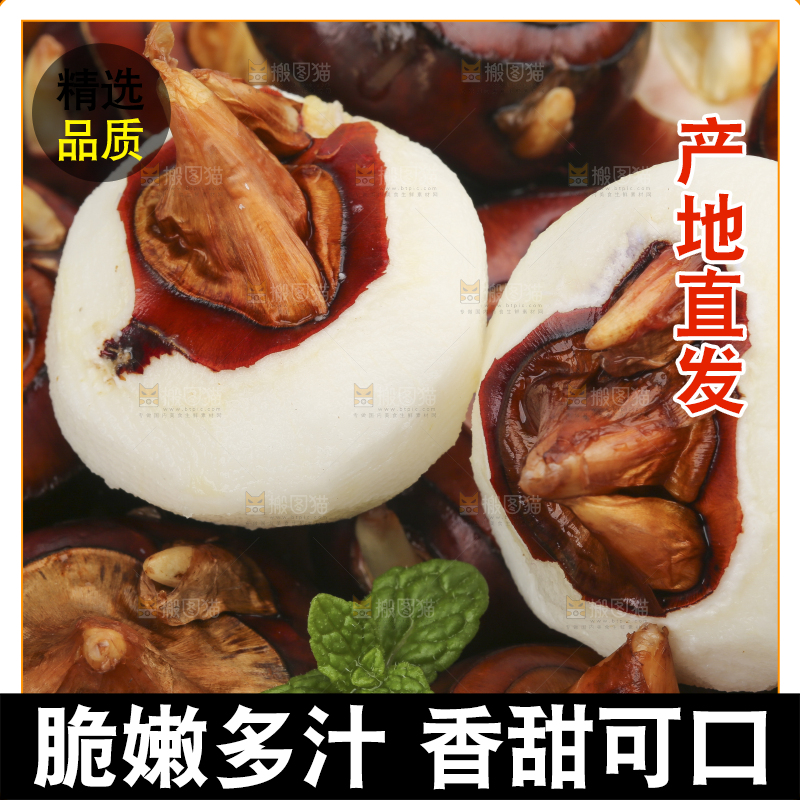 篮子里的荔浦马蹄