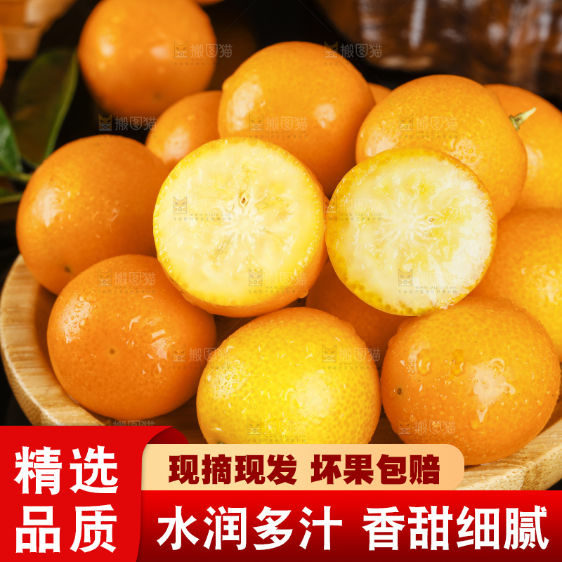 盘子里装着新鲜金橘