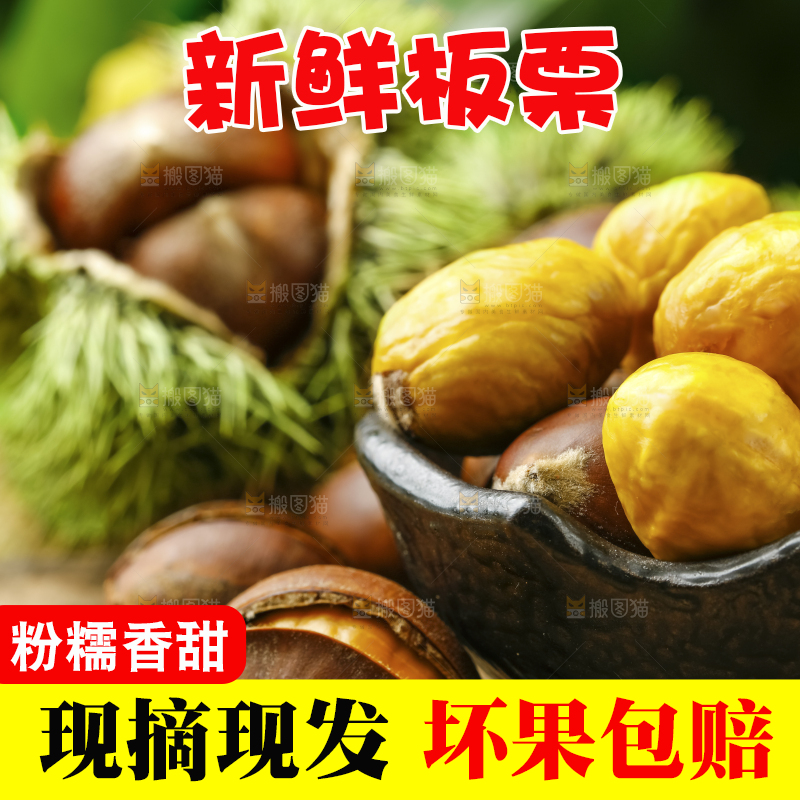 深底上放着新鲜板栗