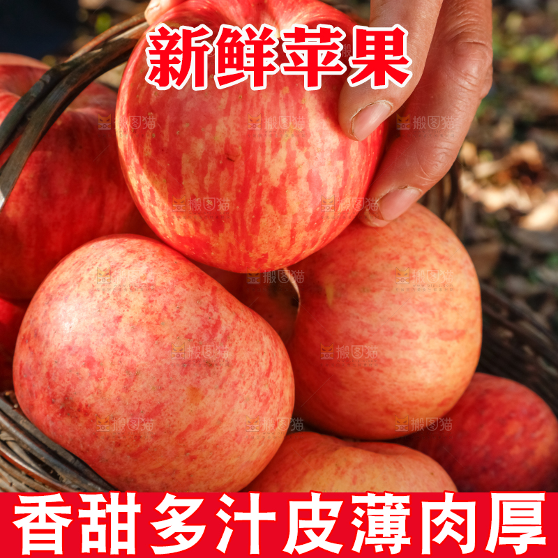 篮子里装着冰糖心苹果