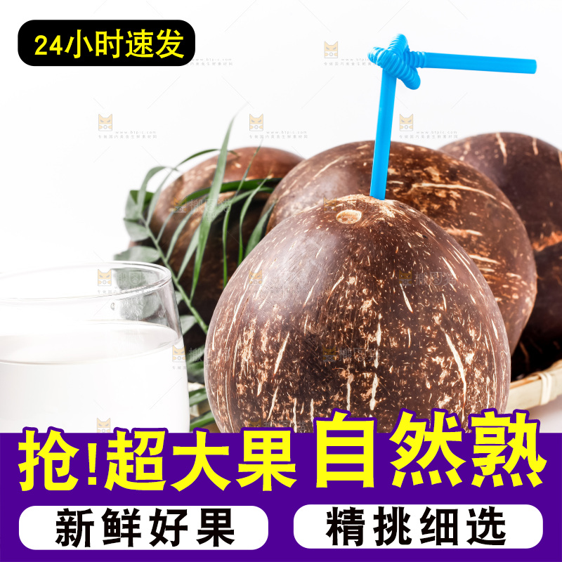 白底上摆放着老椰子