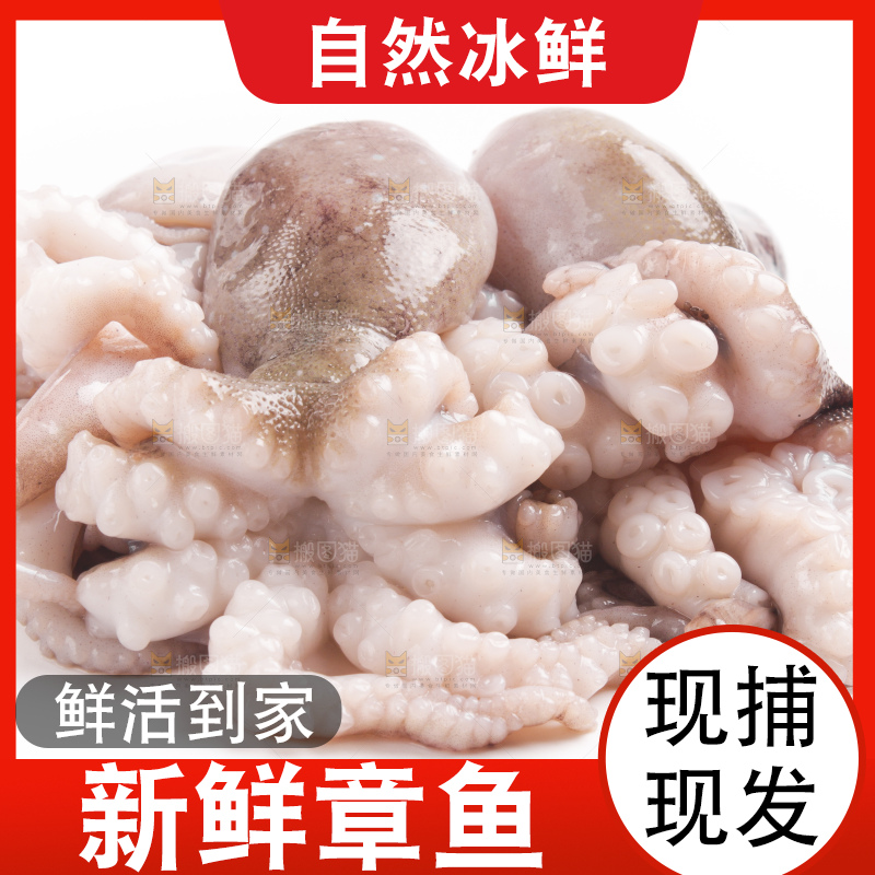 白底上摆放着小章鱼