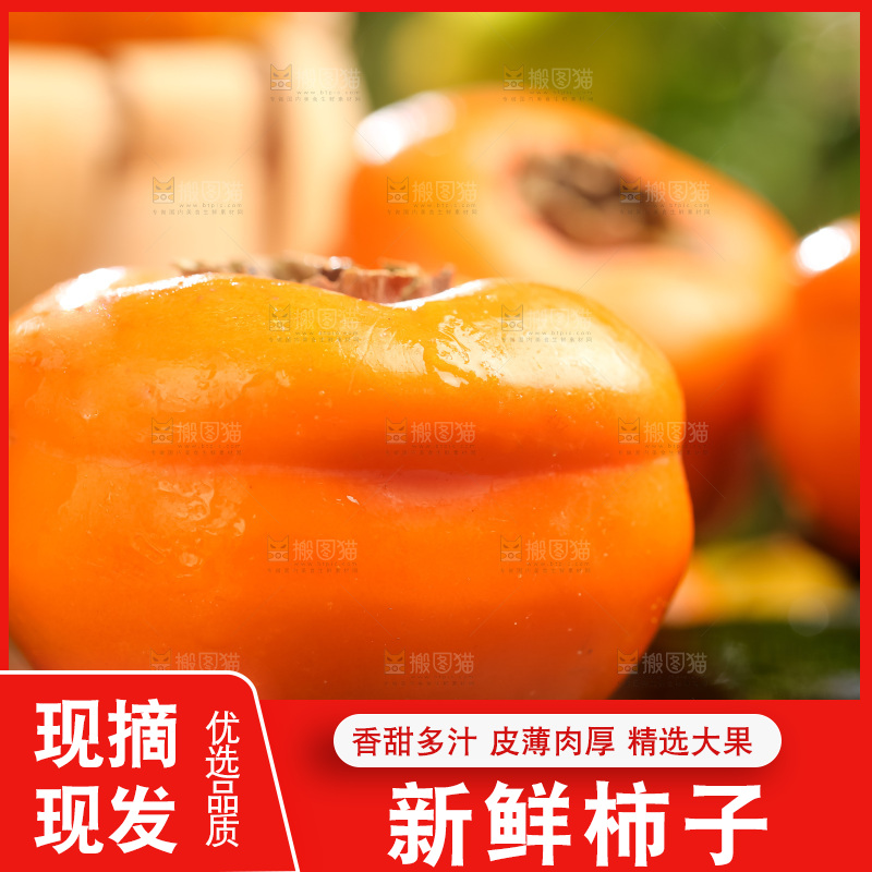 黑石板上放着易县磨盘柿