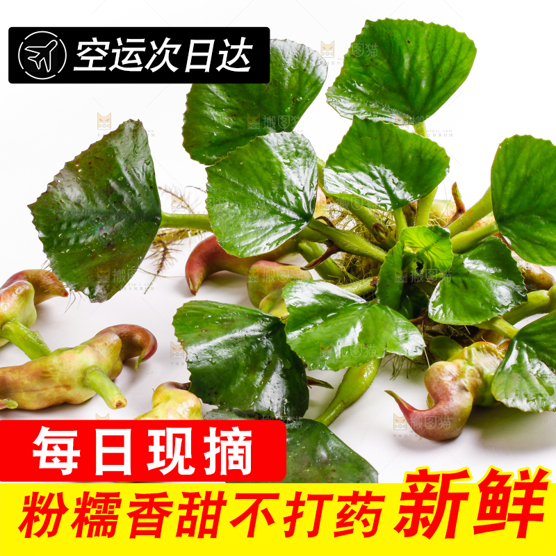 浅底上放着洪湖菱角
