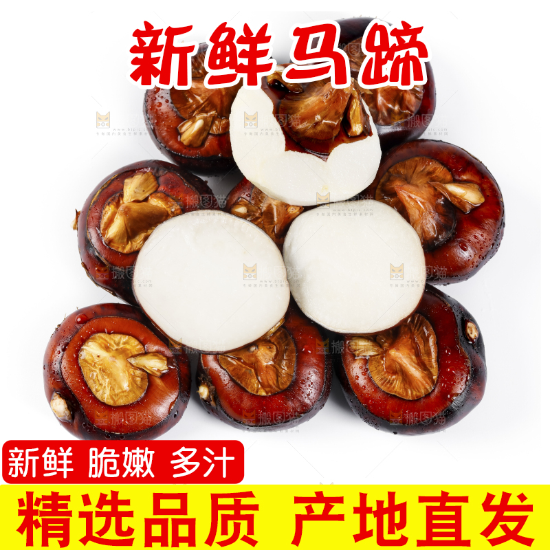 白底上放着广西马蹄
