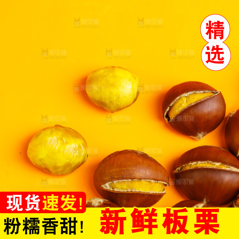 黄底上的迁西板栗