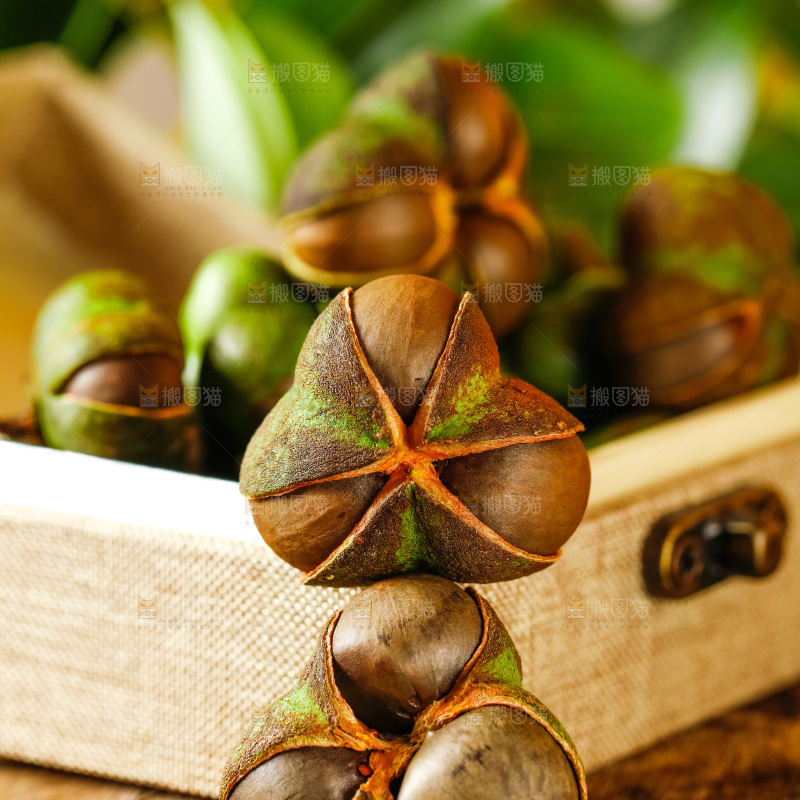 箱子里装着茶油籽