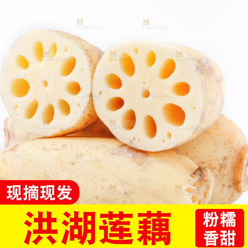 白底上的白莲藕
