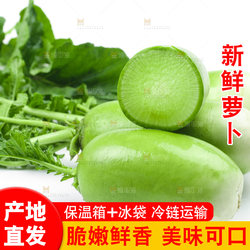 白底上放着青萝卜
