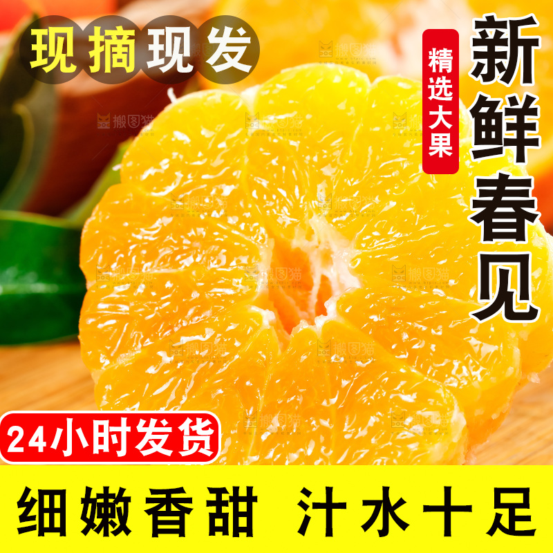 木板上放着耙耙柑