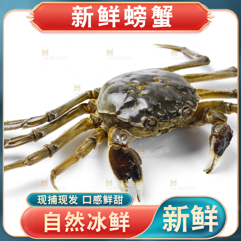 浅底上的鲜活螃蟹