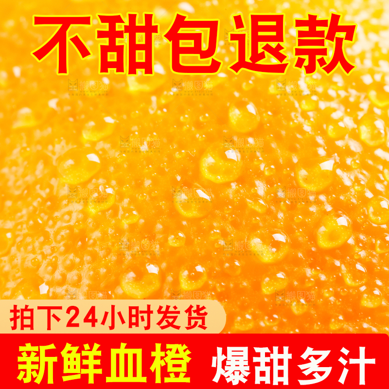 白底上的血橙