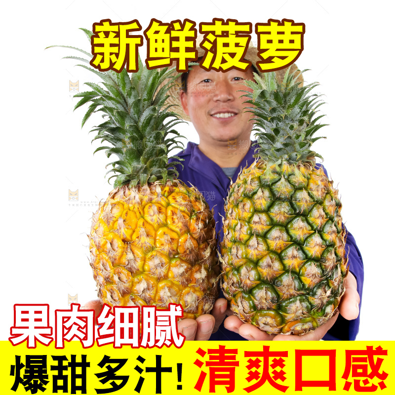 农民手里拿着香水菠萝