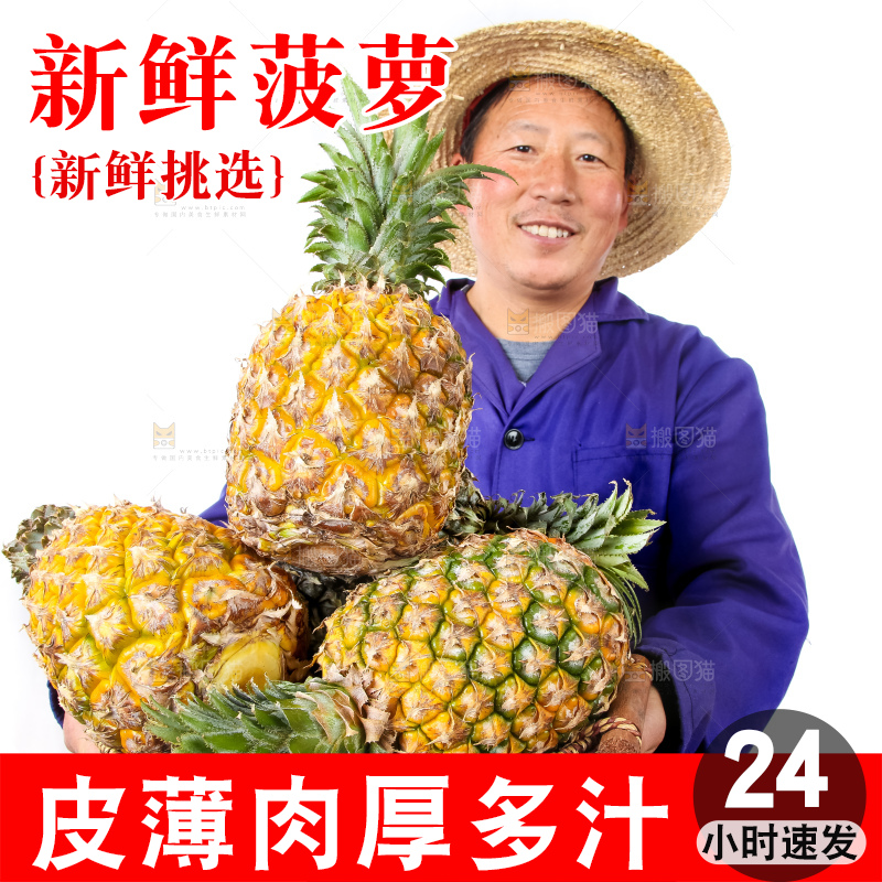 农民手里拿着香水菠萝