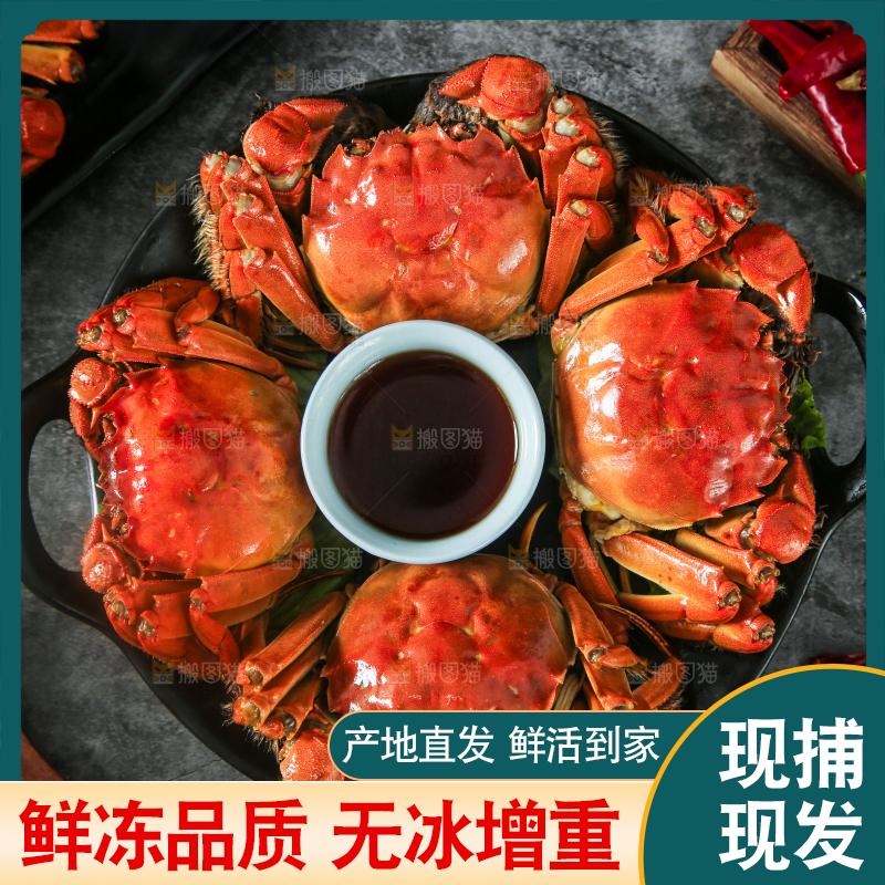 盘子里装着清蒸螃蟹