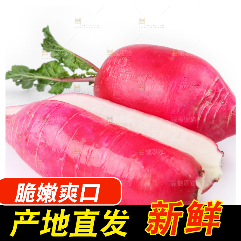 白底上的红萝卜