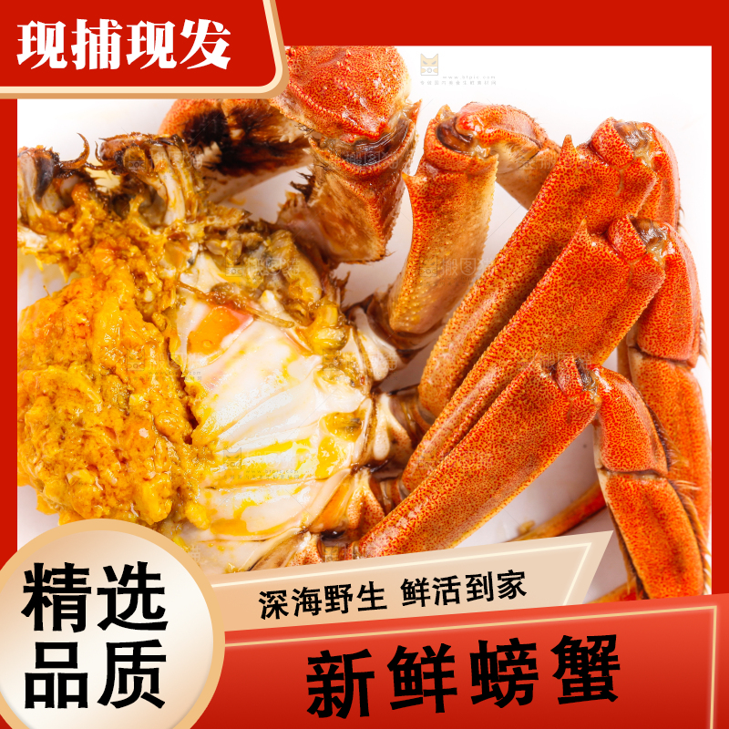 白底上的大闸蟹