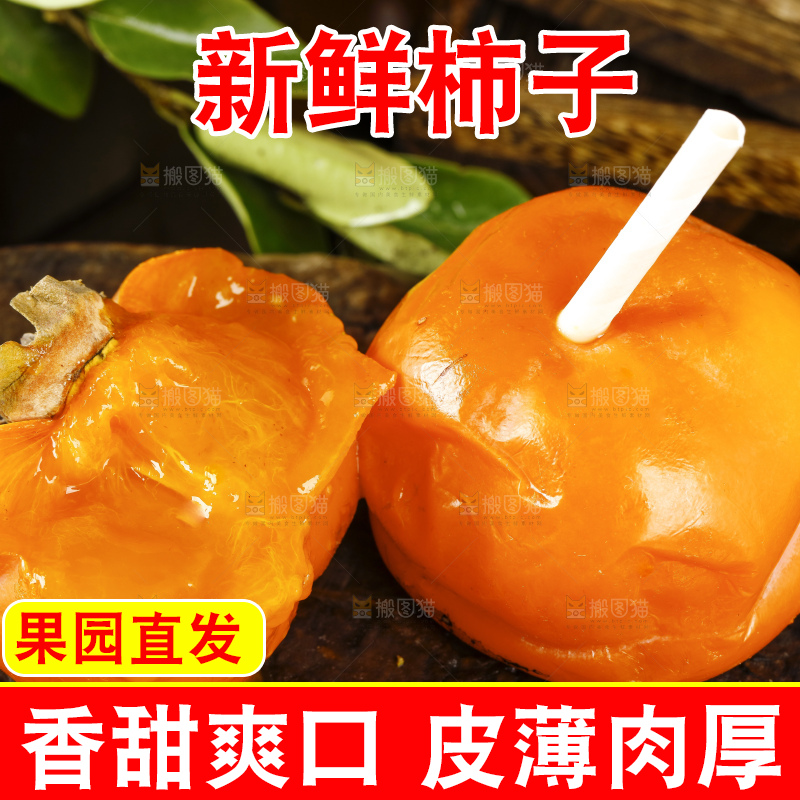 木板上摆放着易县磨盘柿子