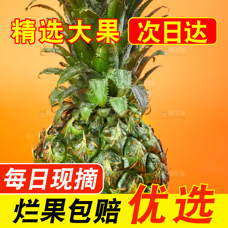 盘子里装着泰国小菠萝