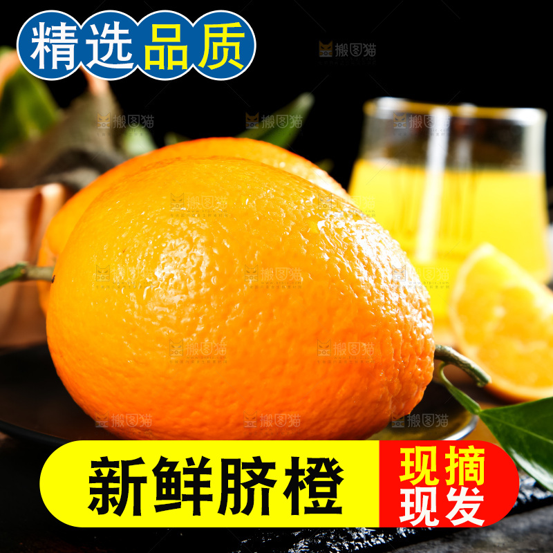 石板上的秭归脐橙