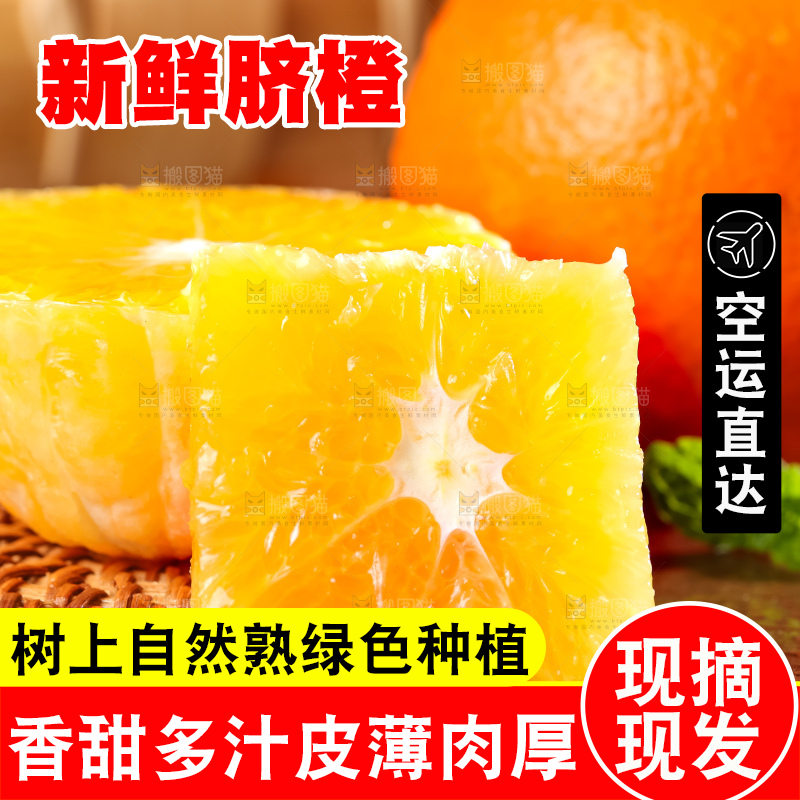 黄板子上的脐橙