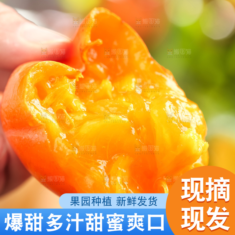 手里拿着新鲜柿子