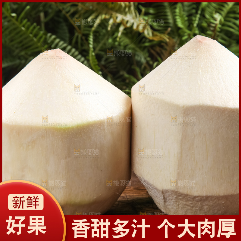 木底上放着泰国椰子