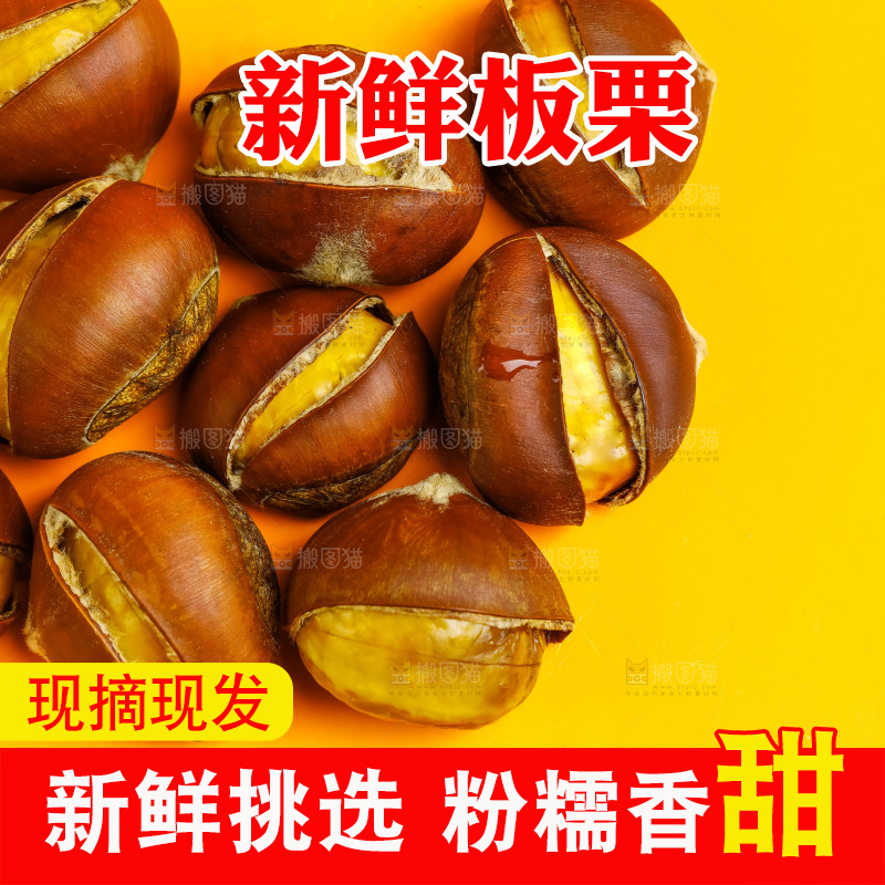 黄底上的迁西板栗