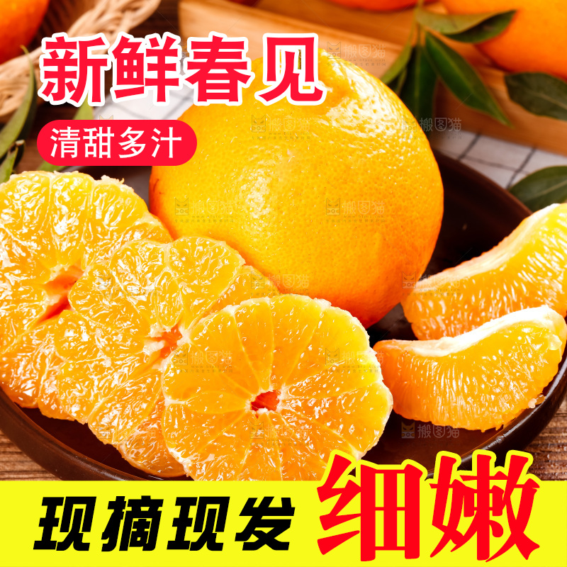 盘子里装着四川春见耙耙柑
