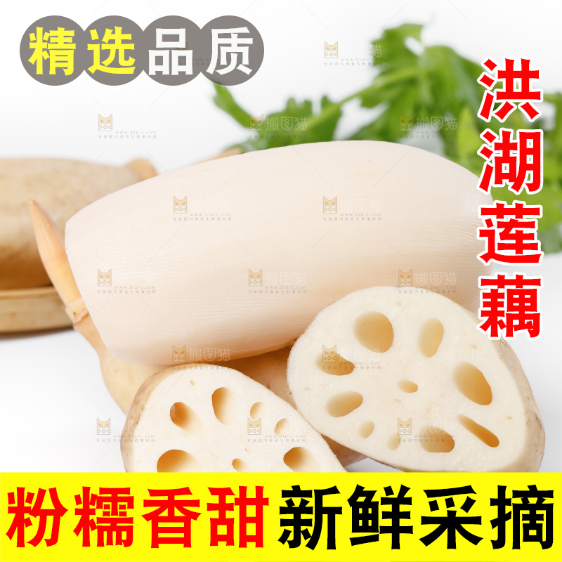 白底上一堆湖北洪湖莲藕