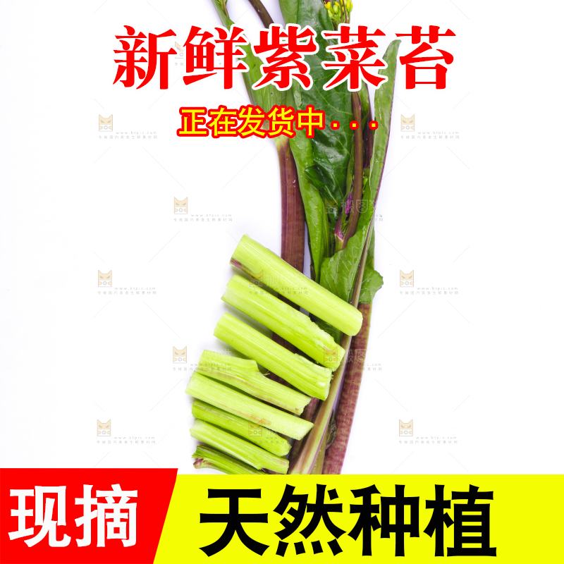 白底上放着紫菜苔