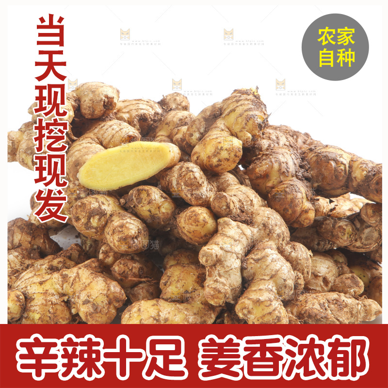 白底上摆放着云南小黄姜