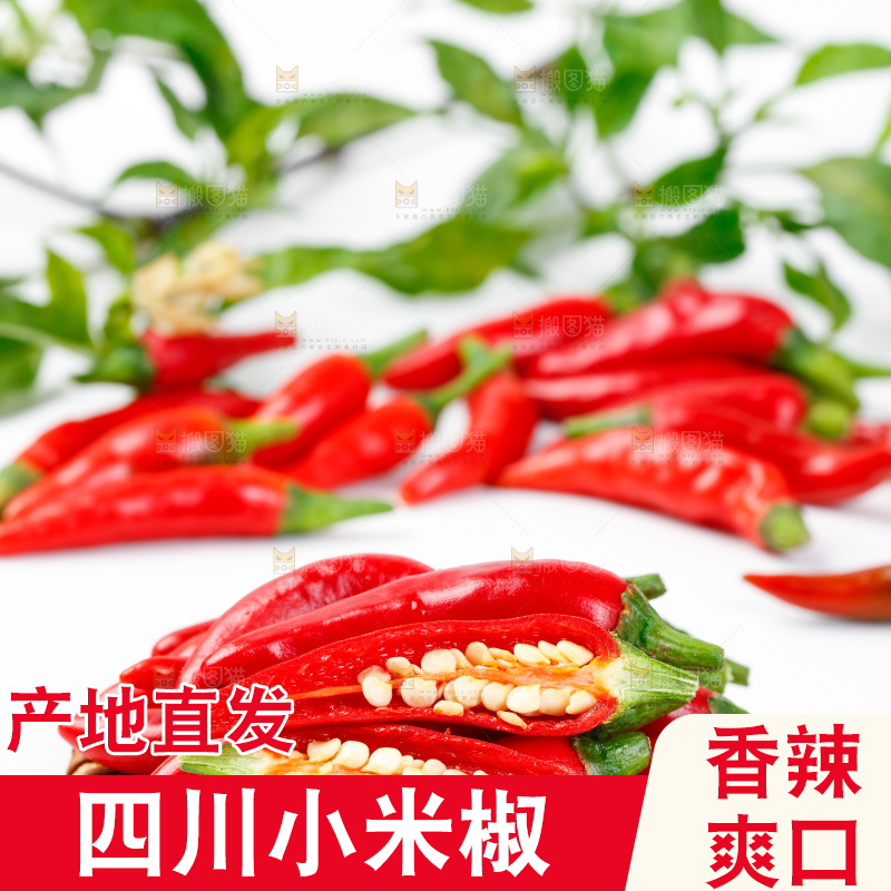 白底上摆放着广西小米椒