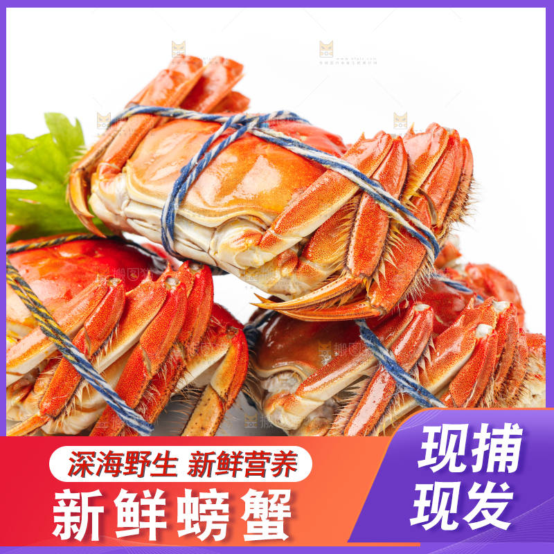 白底上放着螃蟹