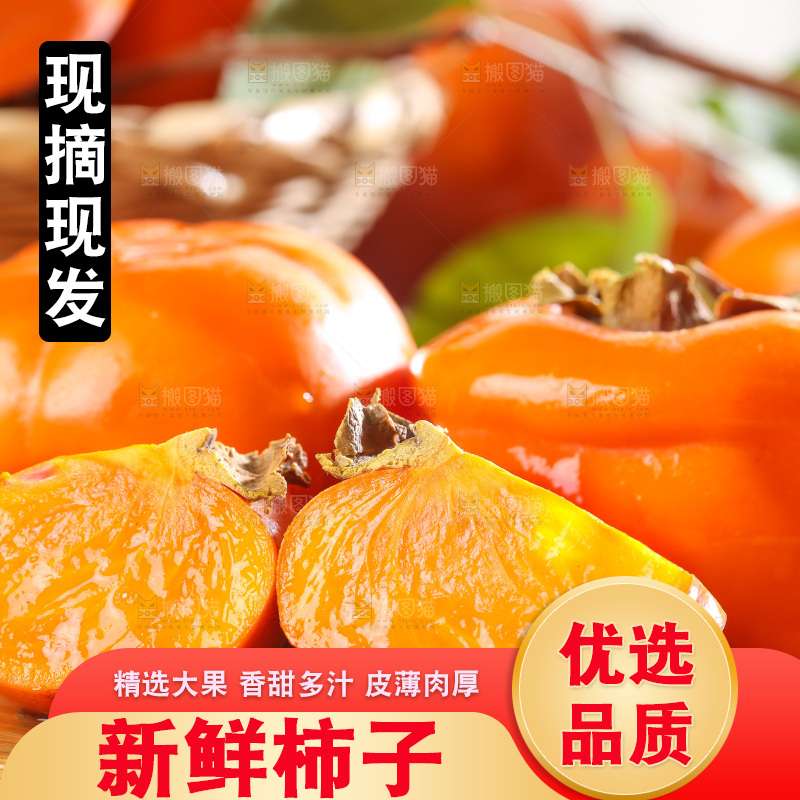 木底上的磨盘柿